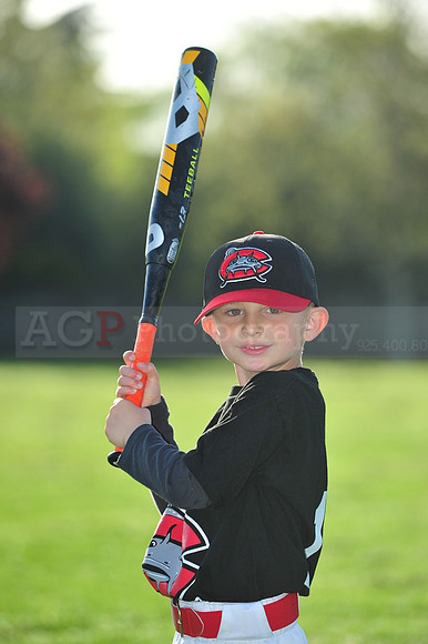 TBMudcats031
