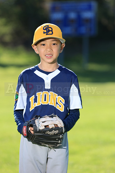 PWLions00135