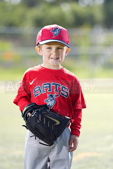 SB_TBALL_BATS125