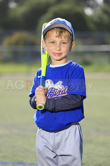 SB_TB_IronBirds006