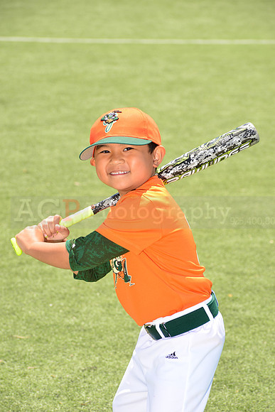 SB_TB_Grasshoppers00029