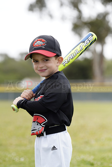 TBMudcats00172