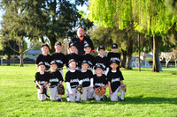 A MARLINS