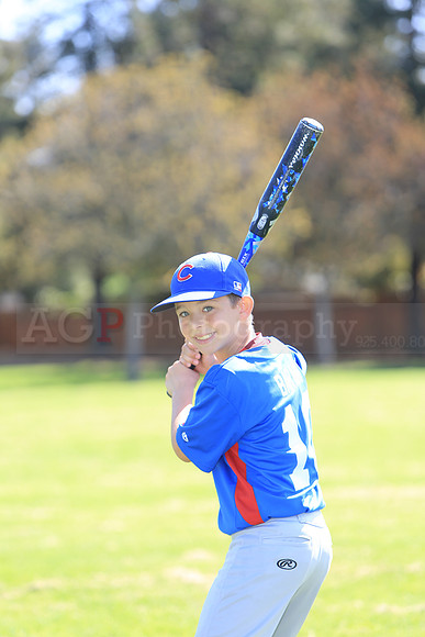 AAACubs036