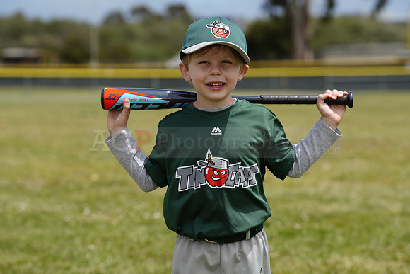 TBTinCaps00008