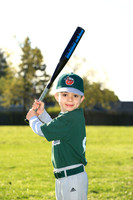 TBTinCaps003