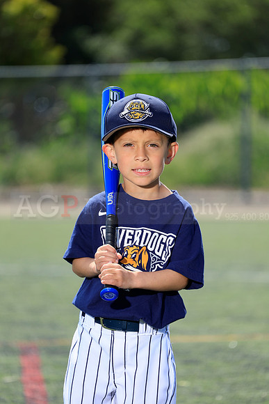 SB_TB_Riverdogs29