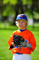 AA METS013