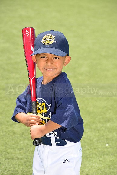 SB_TB_Riverdogs00038