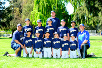 AAA BREWERS