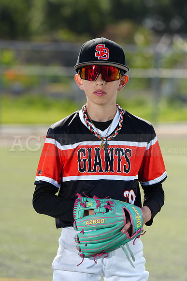 SB_BR_Giants017