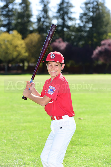 MCardinals0040