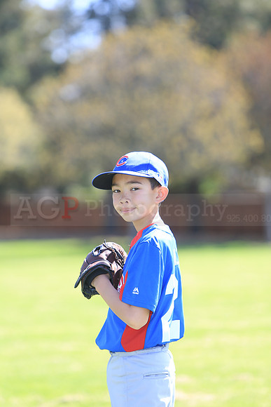 AAACubs048