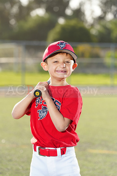 SB_TB_Bats044