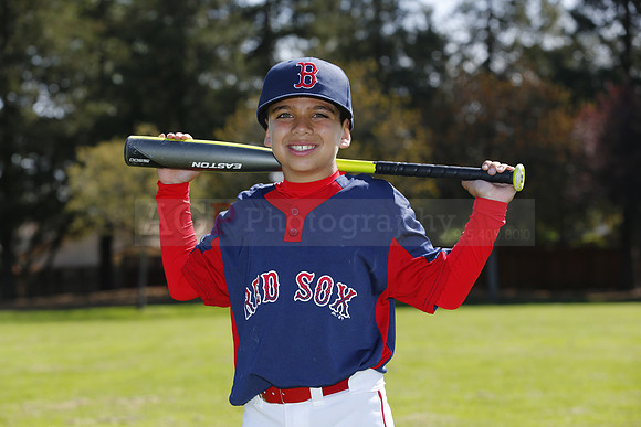 AAARedSox005