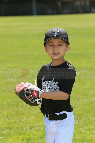 PLL_FM_Lugnuts00001