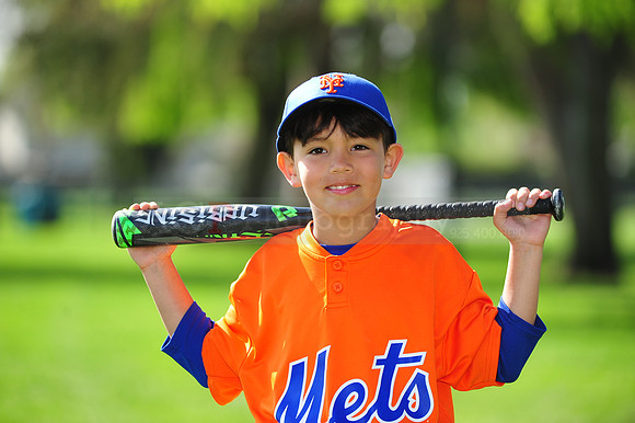 AA METS028