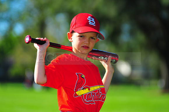 TBall_Cardinals042