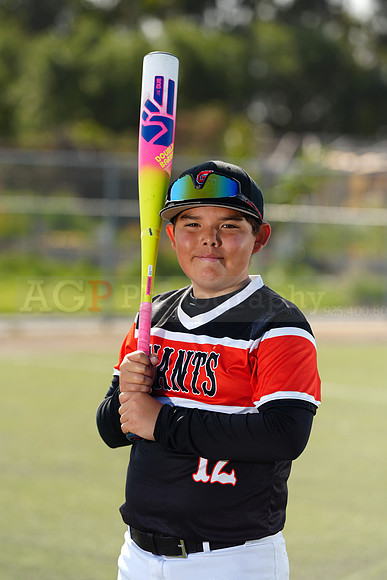 SB_BR_Giants008
