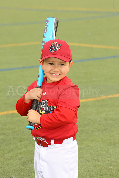 SB_TB_Ironpigs00030