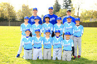 AAA ROYALS