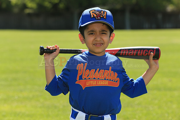 PLL_TB_Rockhounds00058