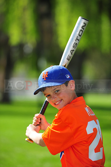 AA METS045