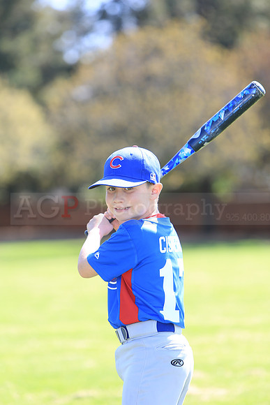 AAACubs055
