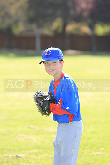 AACubs013