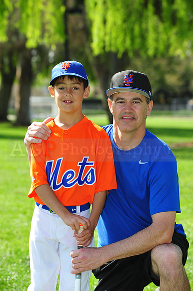 AA METS035