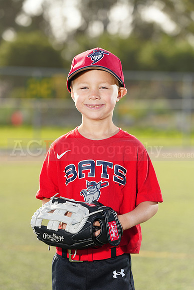 SB_TB_Bats033