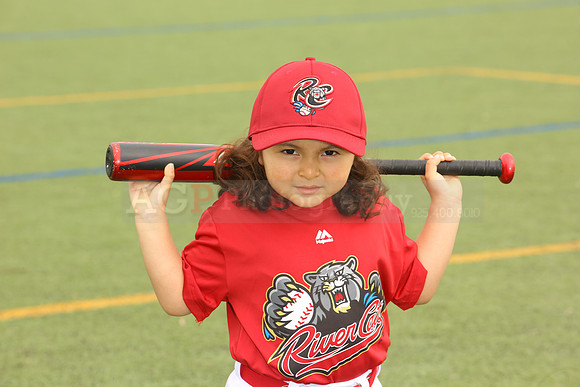 SB_TB_Ironpigs00046