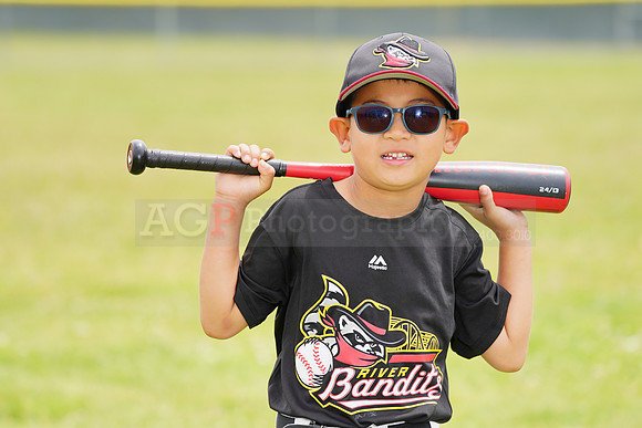 AGP09046
