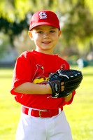 TBCards008