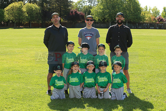PLL_TB_Emeralds00097