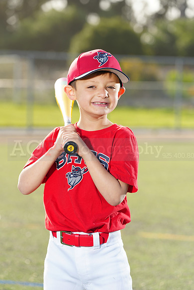 SB_TB_Bats042