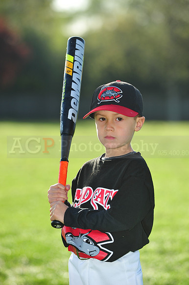 TBMudcats041