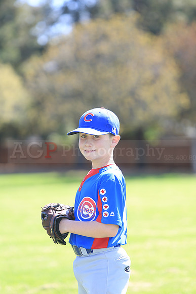 AAACubs053