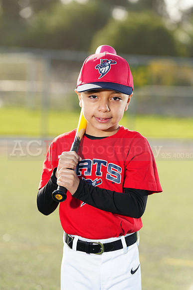 SB_TB_Bats050