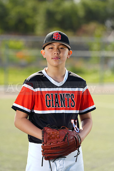 SB_BR_Giants060