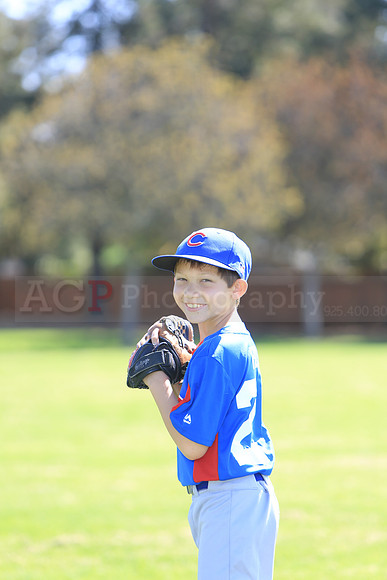 AAACubs007