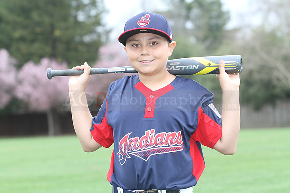 AAAIndians021