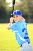 AAA Royals017