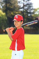 PLL_AAA_Cardinals00013