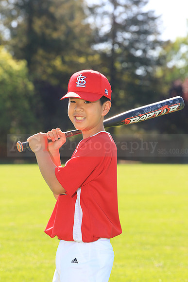 PLL_AAA_Cardinals00013