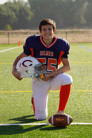 Bears00100