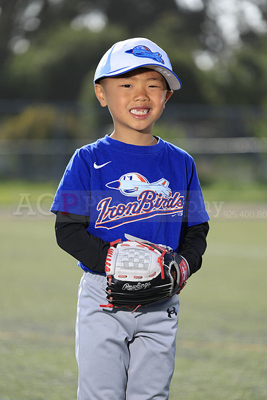 SB_TB_IronBirds031
