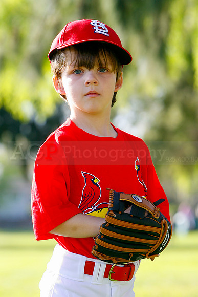 TBCards050