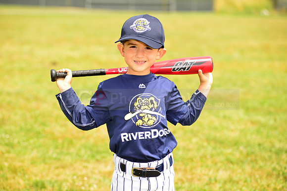 TBRiverdogs00037