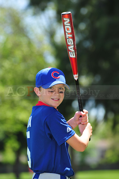 Major_Cubs016